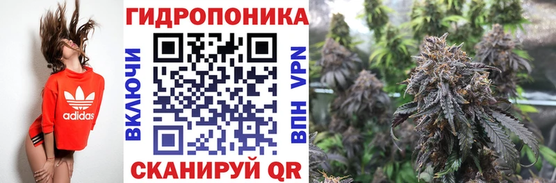 купить наркотики цена  Полтавская  Канабис OG Kush 